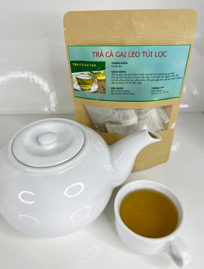 cà gai leo túi lọc tuệ tâm