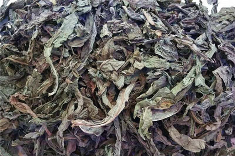 cây bồ công anh khô