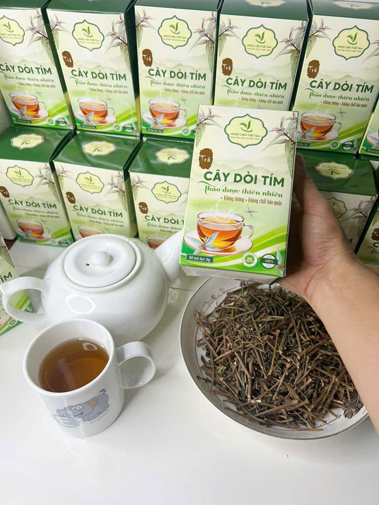 cây dòi thân tím túi lọc tuệ tâm