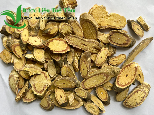 cay kha cúc khô
