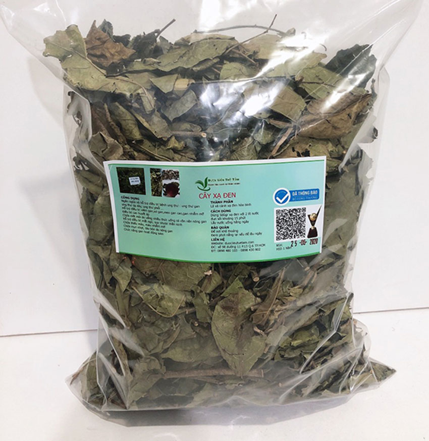 hình ảnh cây xạ đen