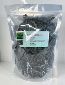 Cây bồ công anh khô