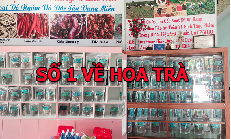 Số 1 về hoa trà