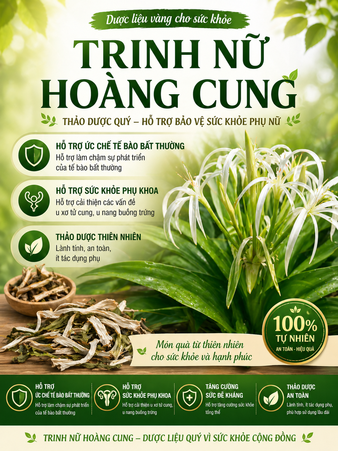 Cây trinh nữ hoàng cung là gì? Cách sử dụng như thế nào