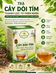 Cây dòi thân tím túi lọc gồm 30 gói 3g