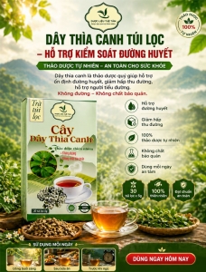 Trà dây thìa canh túi lọc hộp có 30 gói 5g
