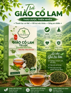 Trà túi lọc giảo cổ lam gồm 30 gói 3gam
