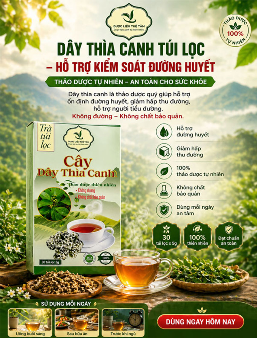 trà dây thìa canh