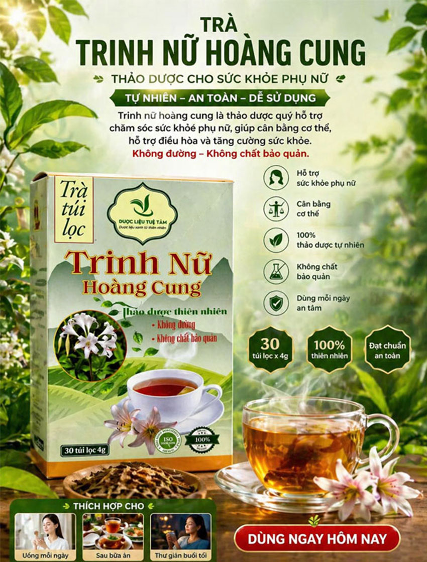 trinh nữ hoàng cung túi lọc