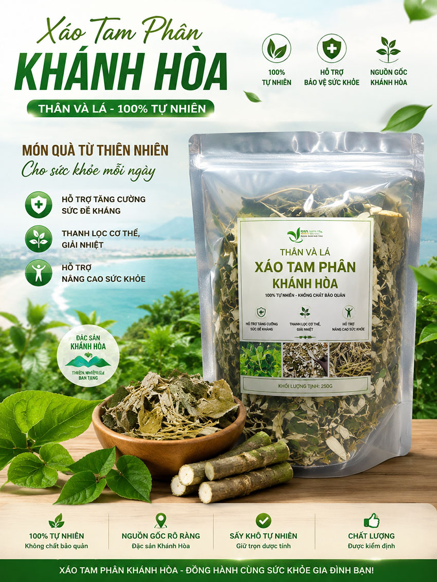 thân và lá xáo tam phân khánh hòa
